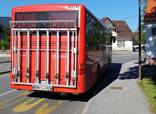 skolesom na avtobus.jpg